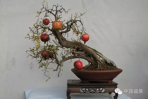 玻璃基覆铜板 第351页