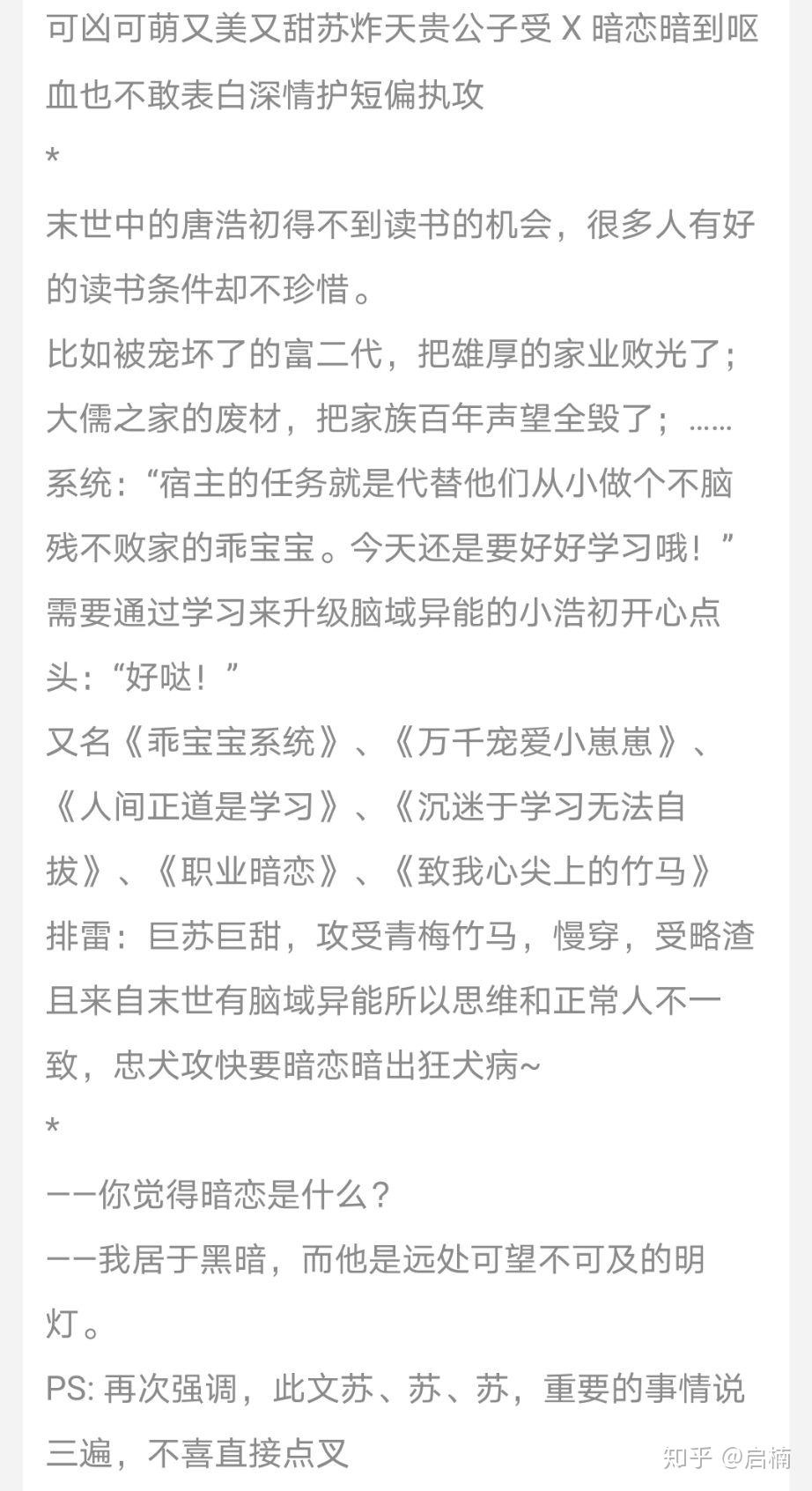 风流书呆最新小说，青春与梦想的奇妙世界探寻
