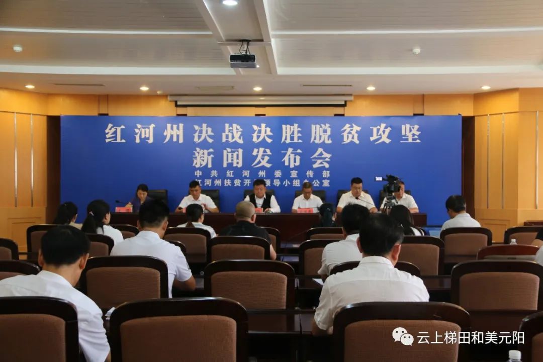 元阳最新新闻报道,活力四溢的新篇章开启