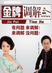 金牌调解,现代社会的温暖港湾再现新篇章