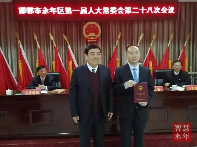 邯郸最新任免,城市新篇章的序曲启动