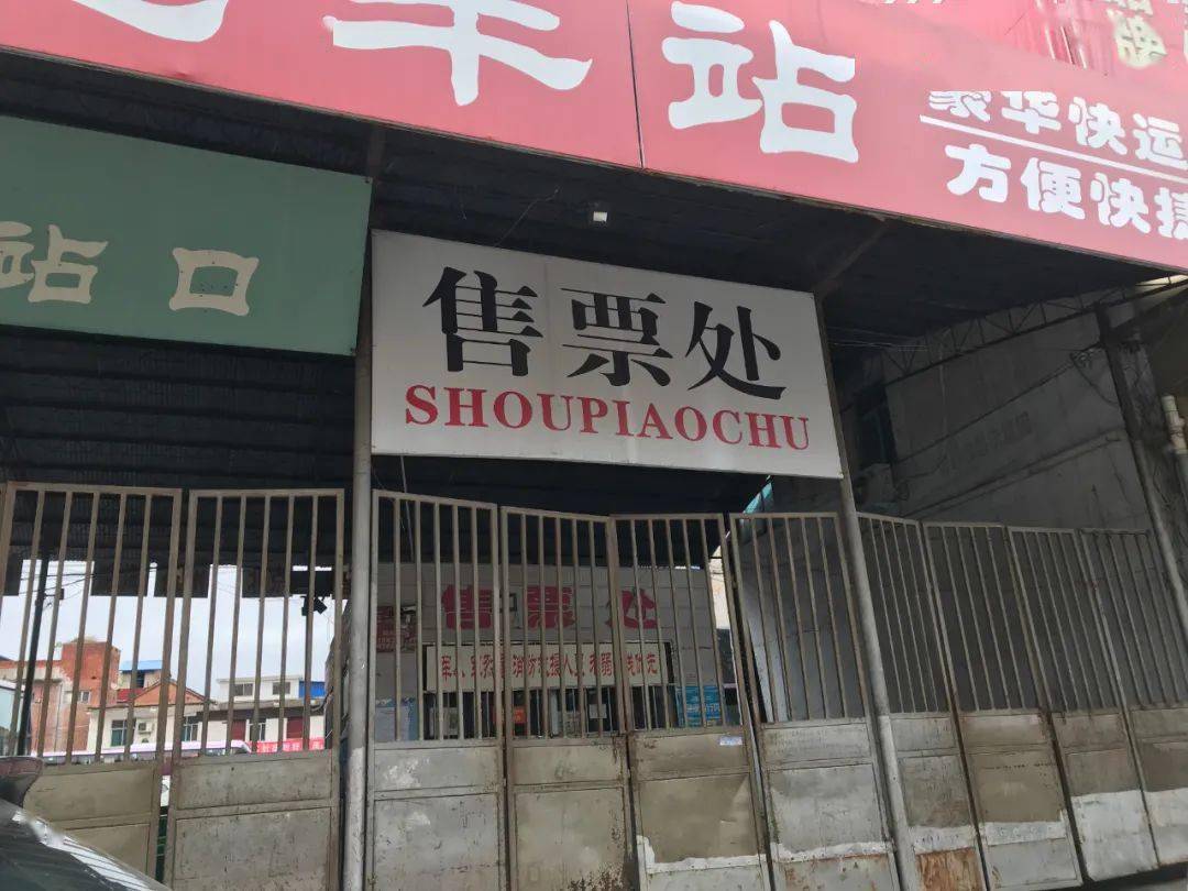 沈丘贴吧最新动态,探索城市鲜活瞬间的脉搏