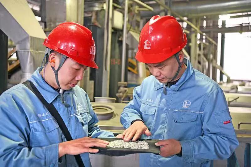 PET切片最新报价与市场动态分析摘要