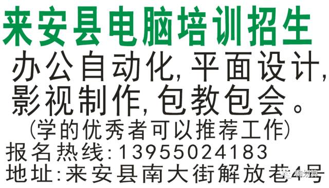 金点子最新招聘信息,金点子最新招聘信息，探索职业发展的无限可能