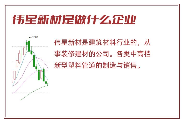伟星新材引领行业创新，开启未来新篇章