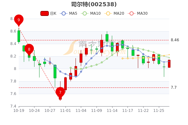 司尔特股票分析，探寻未来增长潜力及投资前景