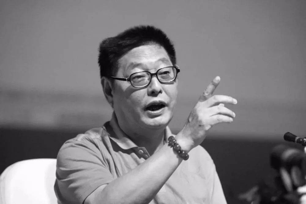 杨百万最新视频，探索未知领域的冒险之旅揭秘之旅