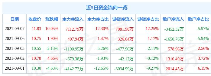 嘉化能源引领绿色能源新纪元，共创可持续发展未来