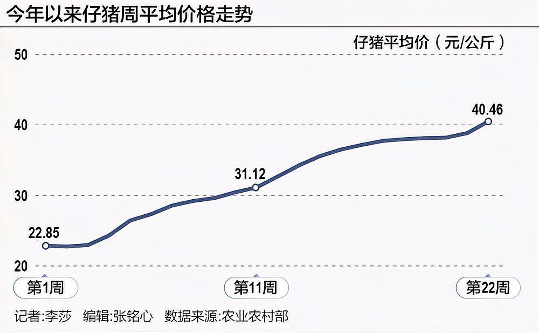 今日猪价走势预测，探寻未来市场趋势的微妙变化及最新预测分析